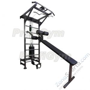 Многофункциональный тренажёрный комплекс ProfiGym на базе шведской стенки